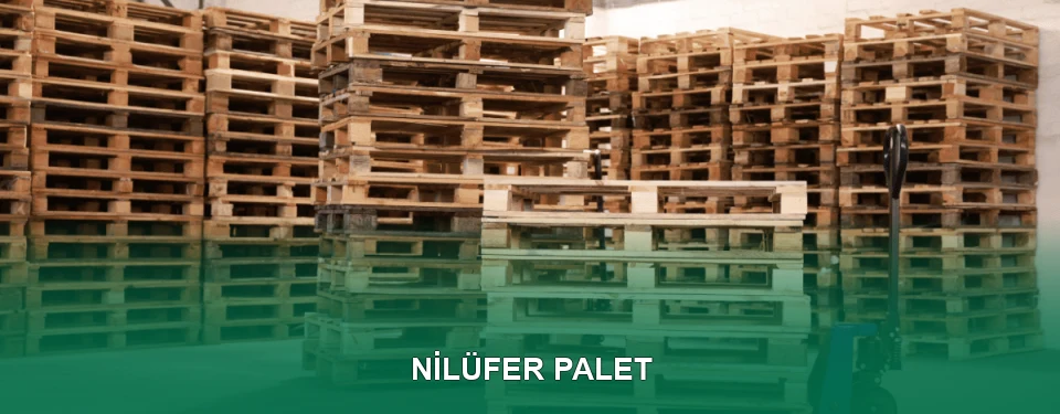 Nilüfer Palet